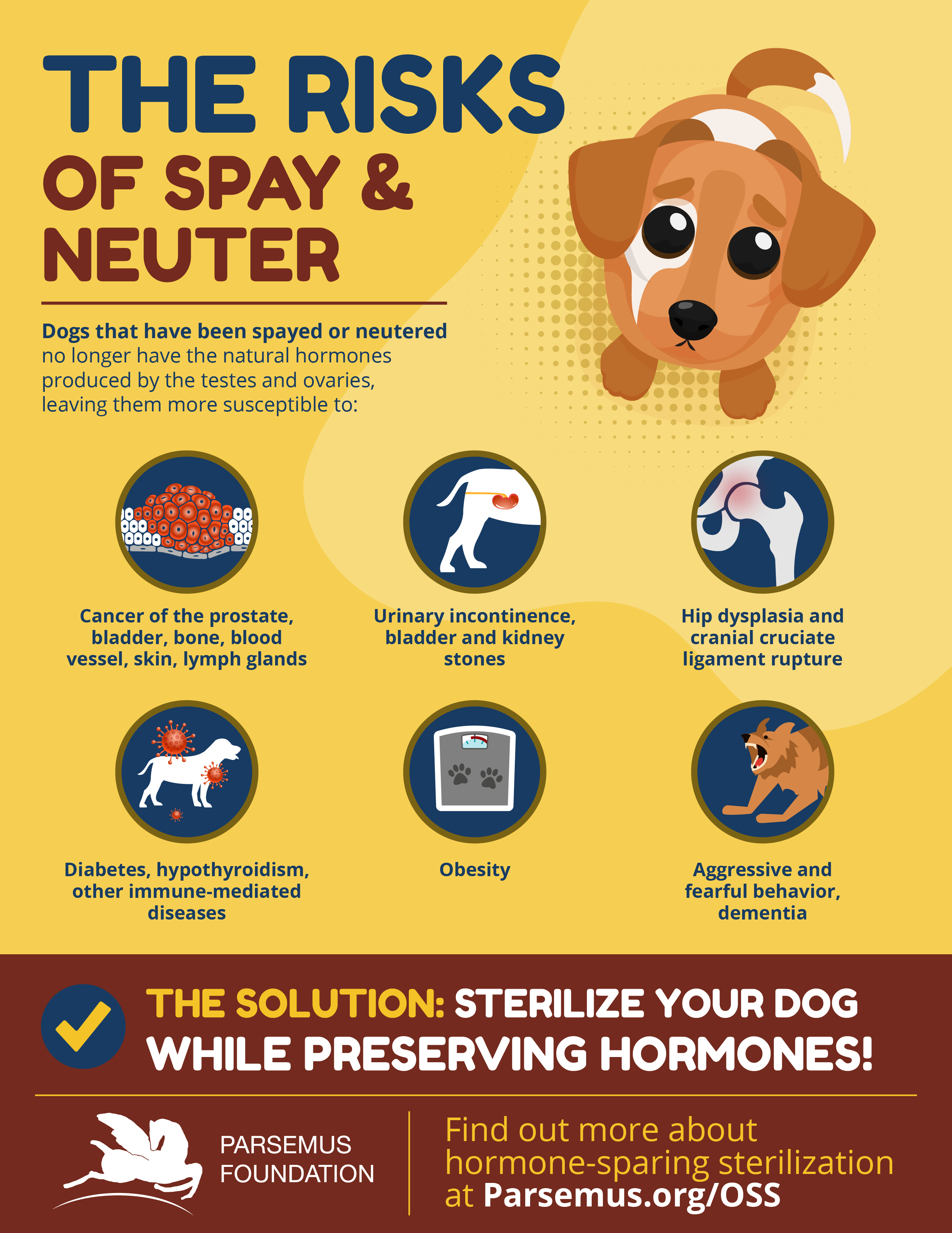 should a male dog be neutered