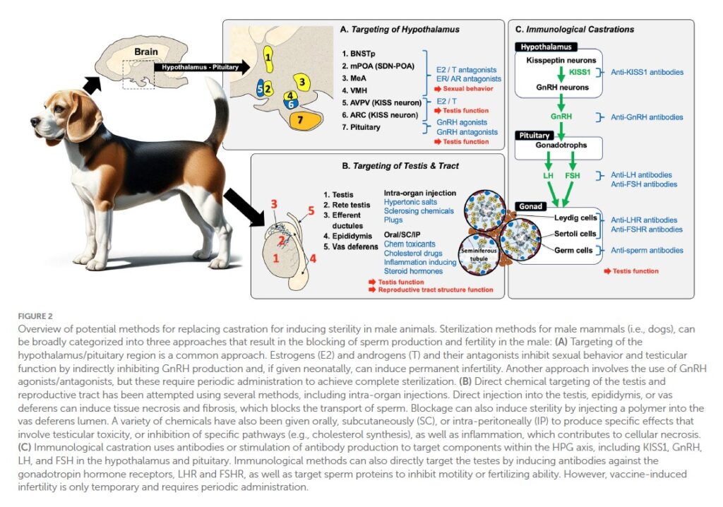 Diagram of dog sterilization targets