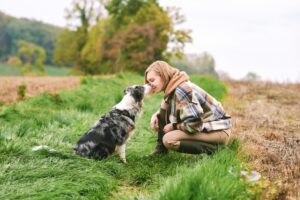 Historical review of castration in male animals as shown by an outdoor portrait of young woman playing with Australian Shepherd dog